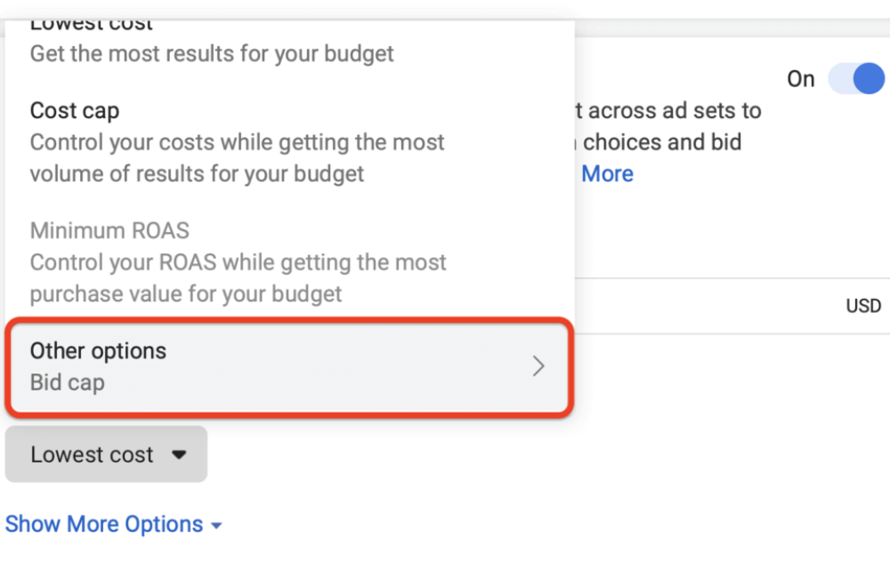Costs to spend on a Facebook advertising campaign.