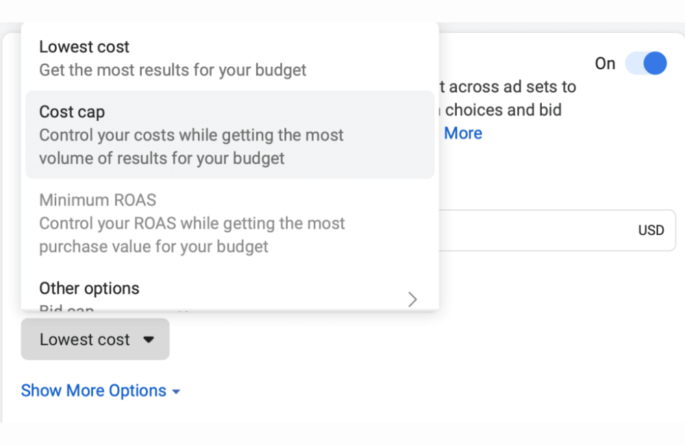 How to optimize your Facebook advertising budget effectively