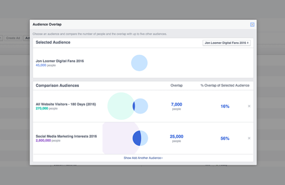 The problem of audience overlap often occurs when running Facebook ads.